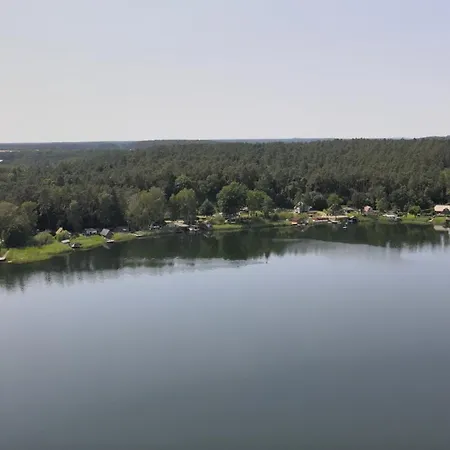 Kiefernhain *